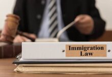 Immigration law lawyer
