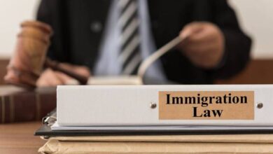 Immigration law lawyer