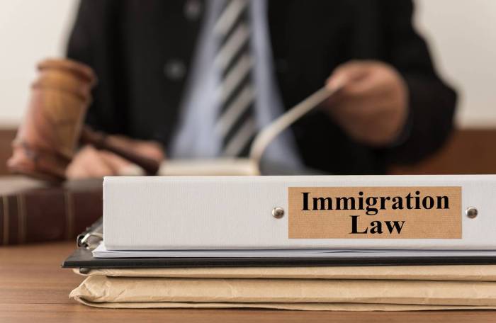 Immigration law lawyer