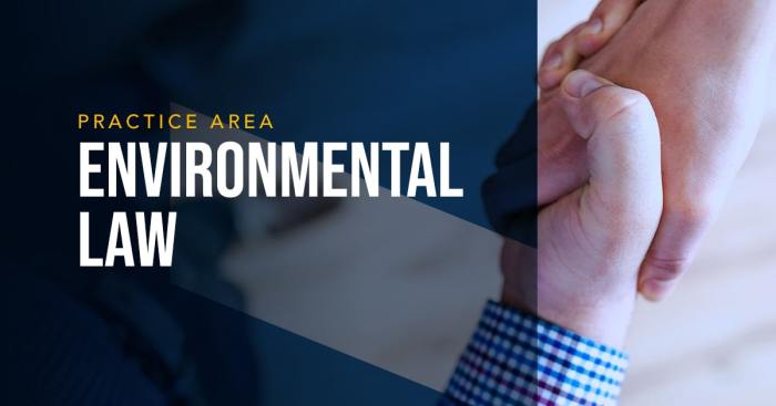 Environmental law firm terbaru