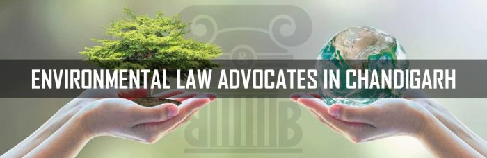 Environmental law firm