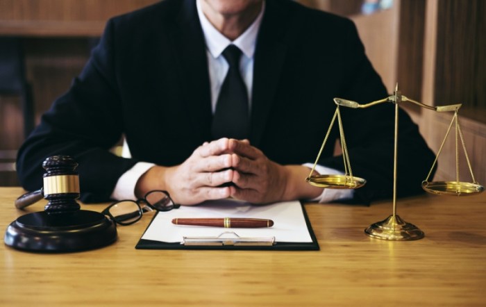 Immigration law lawyer